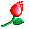 :kwiat: